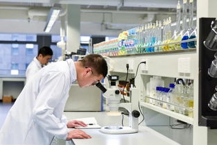 C2M模式 驱动化工工业品牌数字化升级的新引擎