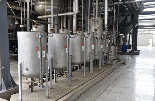 龙腾沙田 精细化工企业迸发新活力，助力立沙岛化工园区提质增效